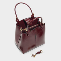 Aldo | Evielilyy in Bordo - Satchel bag
