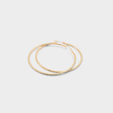 Aldo | Eryrie in Gold Clear Multi - Earrings
