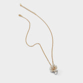 Aldo | Alexianie Ice Women's Cubic Zirconia - Necklace
