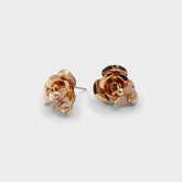 Aldo | Bumblebees Gold/Clear Multi Women's Earrings - Earrings