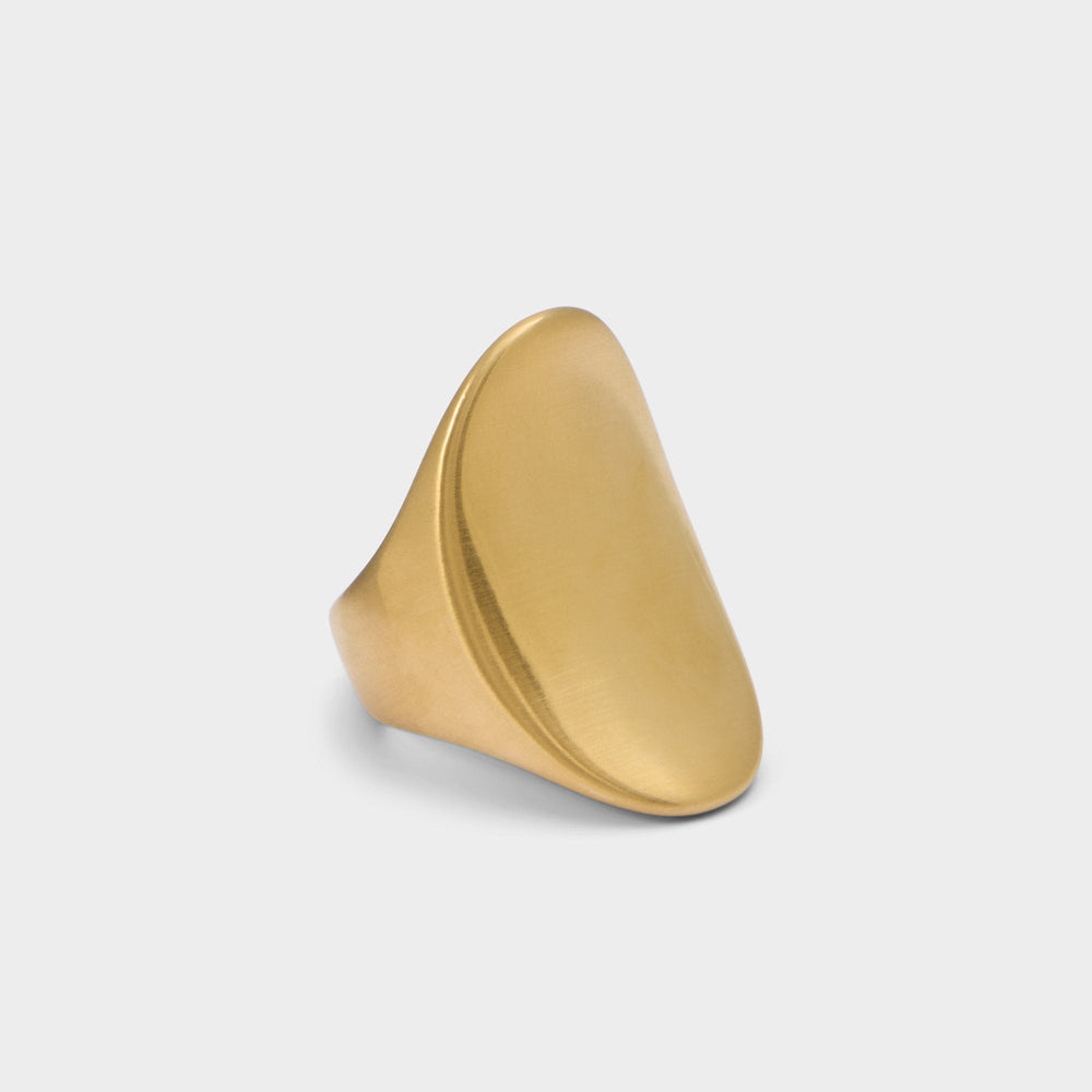 Aldo | Reigna in Gold - Ring