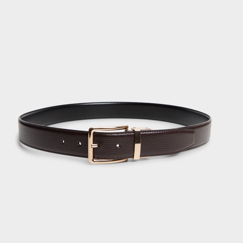 Aldo | Nicholas in Dark Brown - Belt