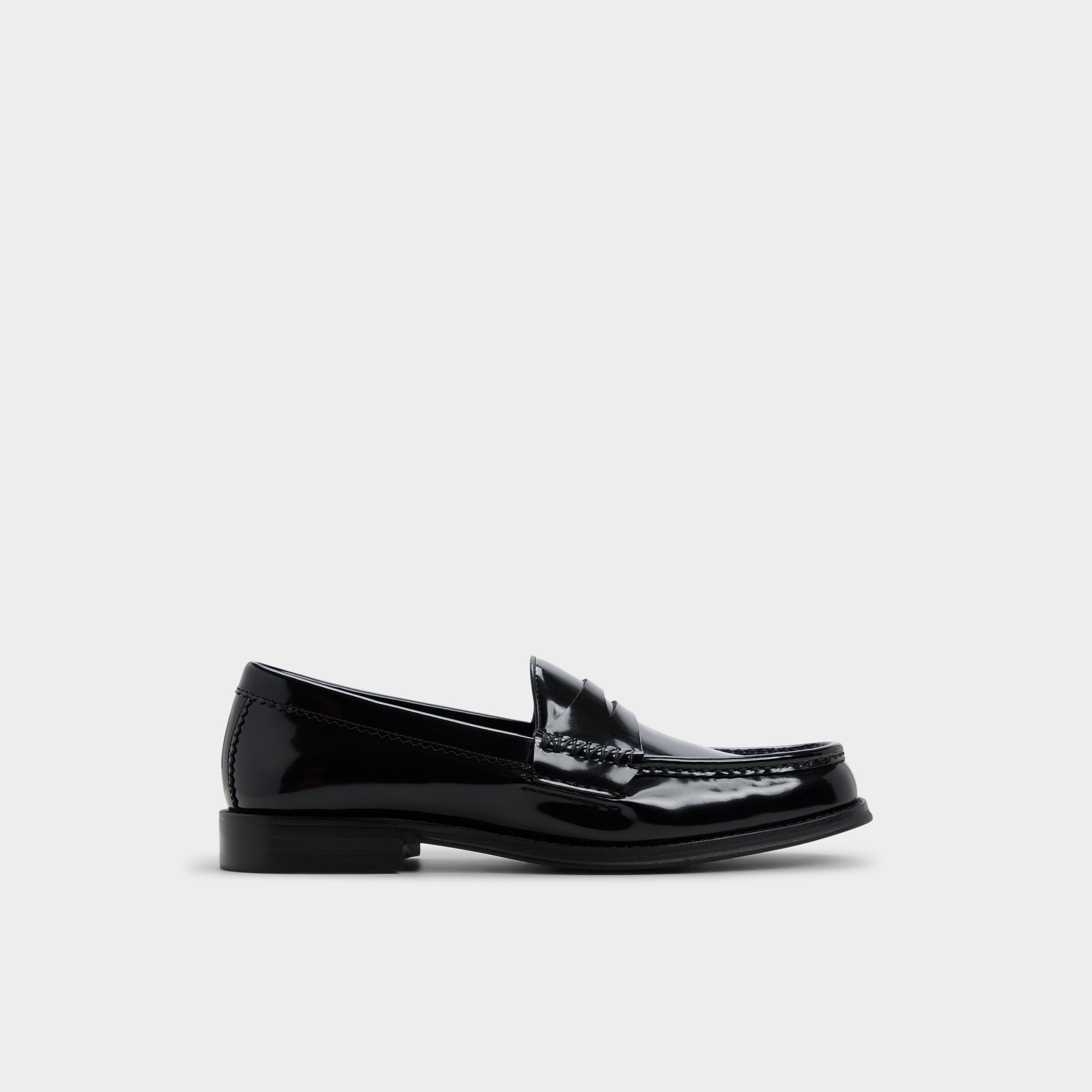 Aldo | Ludovik in Black - Loafer