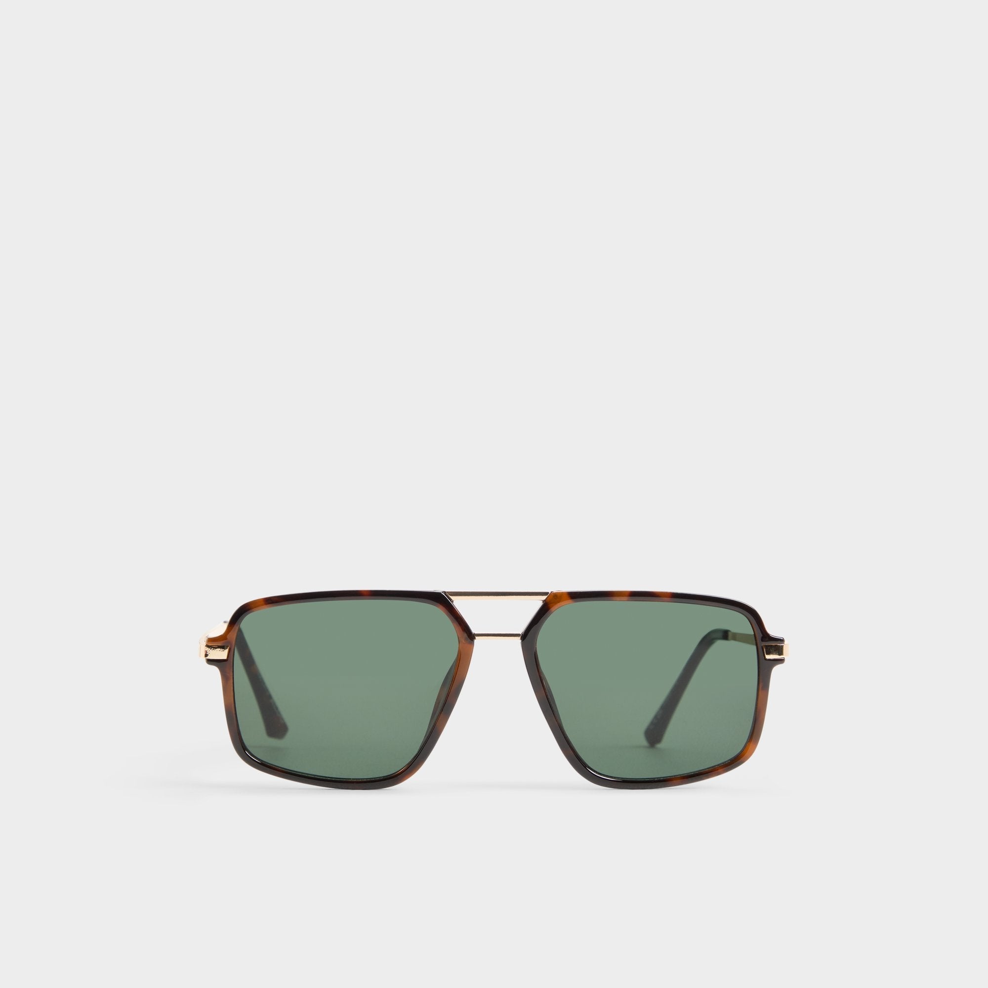 Aldo | Natanielx in Brown - Sunglasses