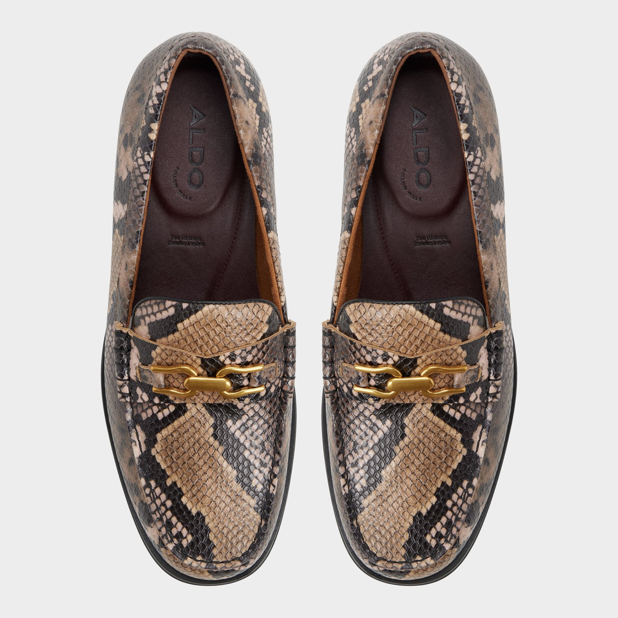 Aldo | Edouard in Brown Multi - Loafer