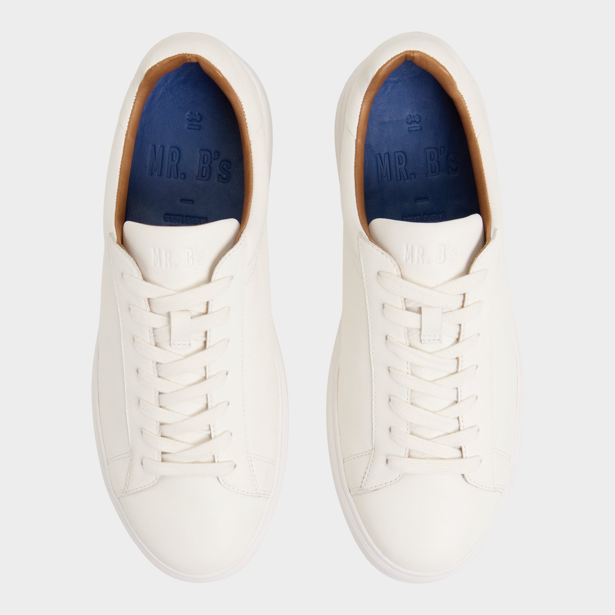 Aldo | Seeger in White - Low top sneaker, Cup sole