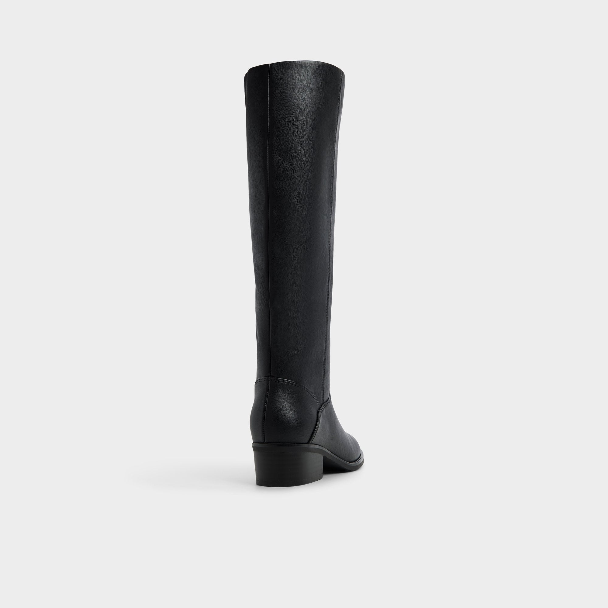 Aldo | Kaydienh in Black - Knee-high boot, Block heel