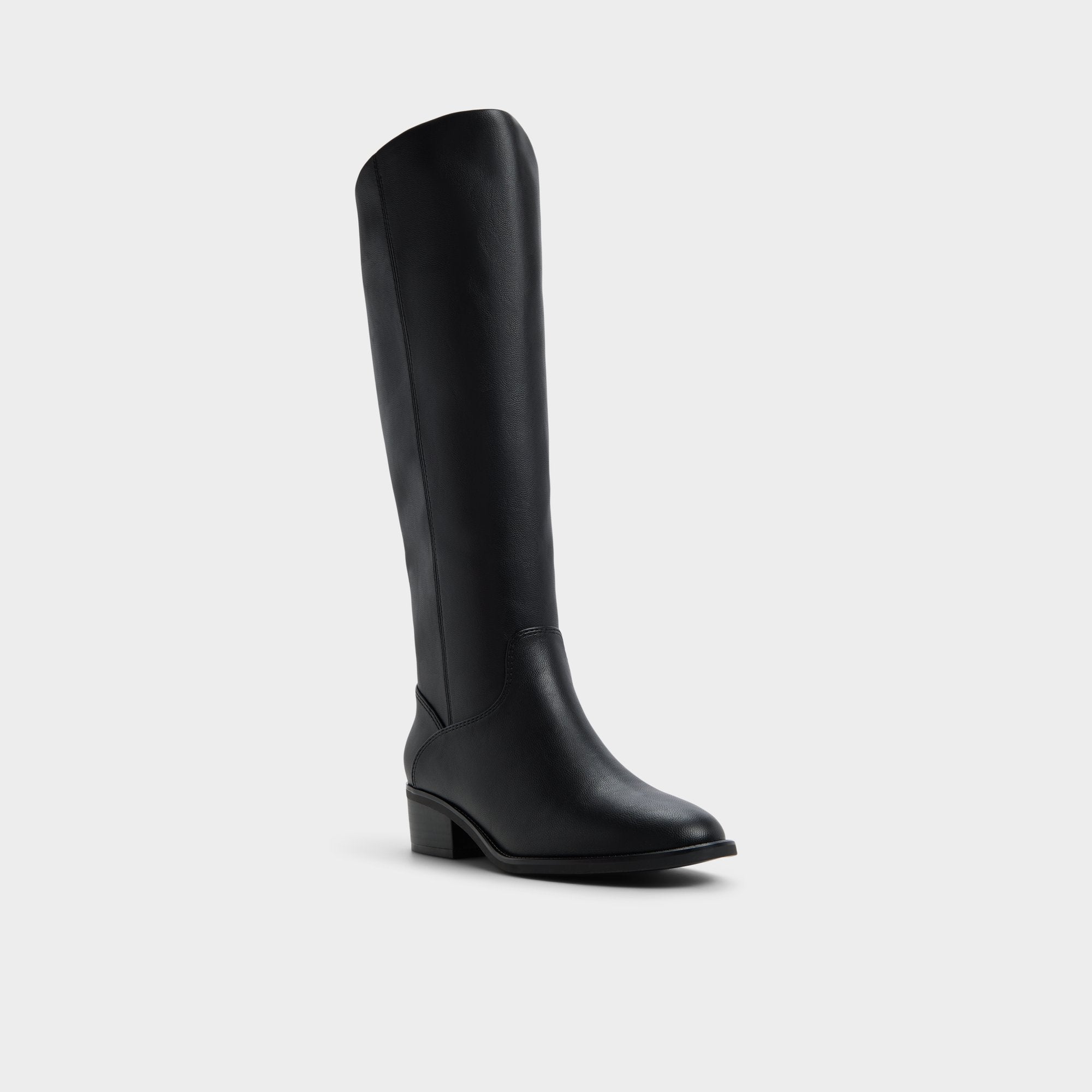 Aldo | Kaydienh in Black - Knee-high boot, Block heel