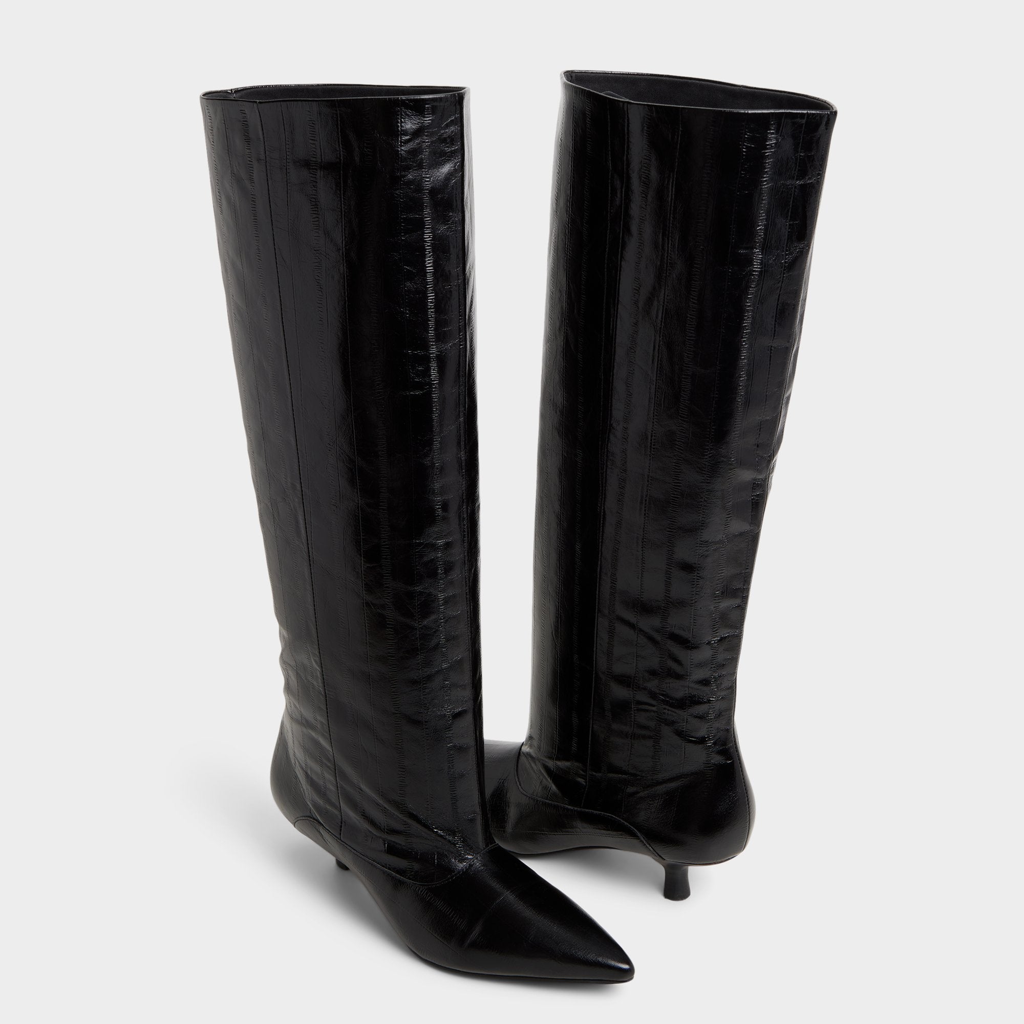 Aldo | Everose in Black - Knee-high boot, Kitten heel