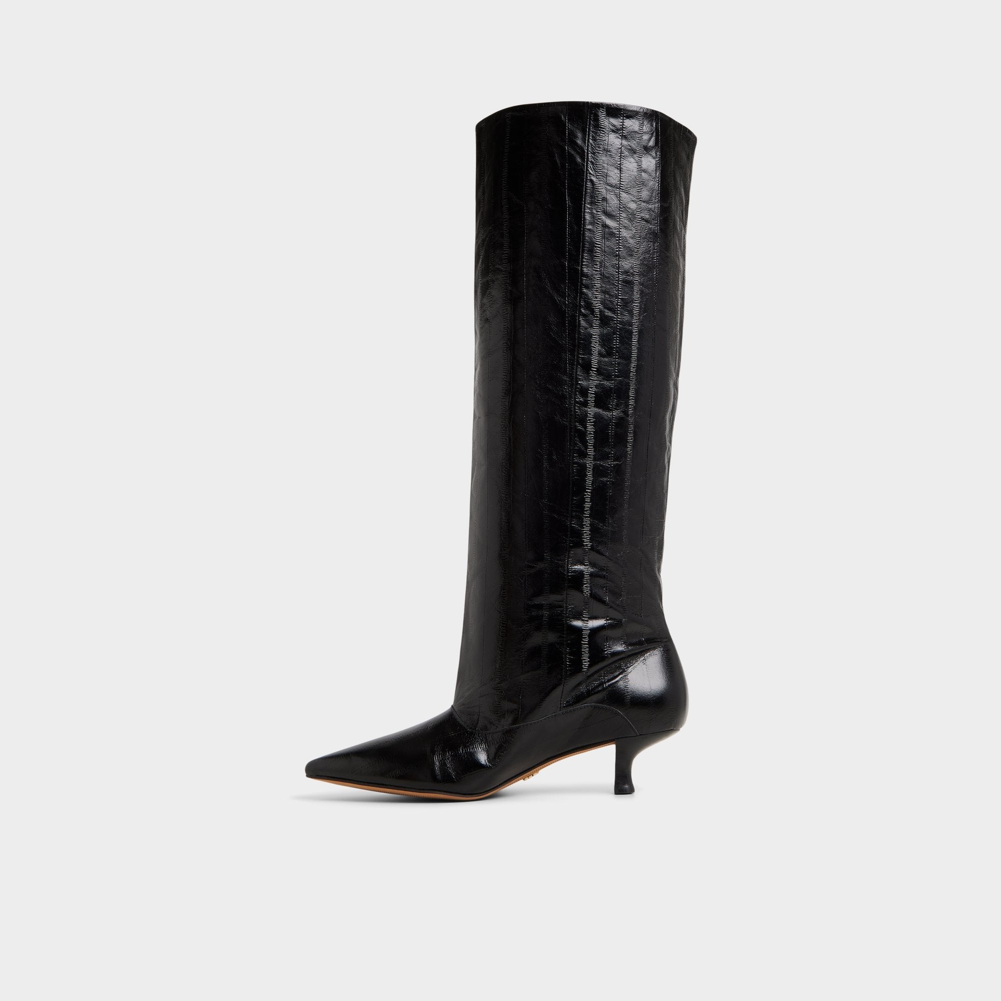 Aldo | Everose in Black - Knee-high boot, Kitten heel