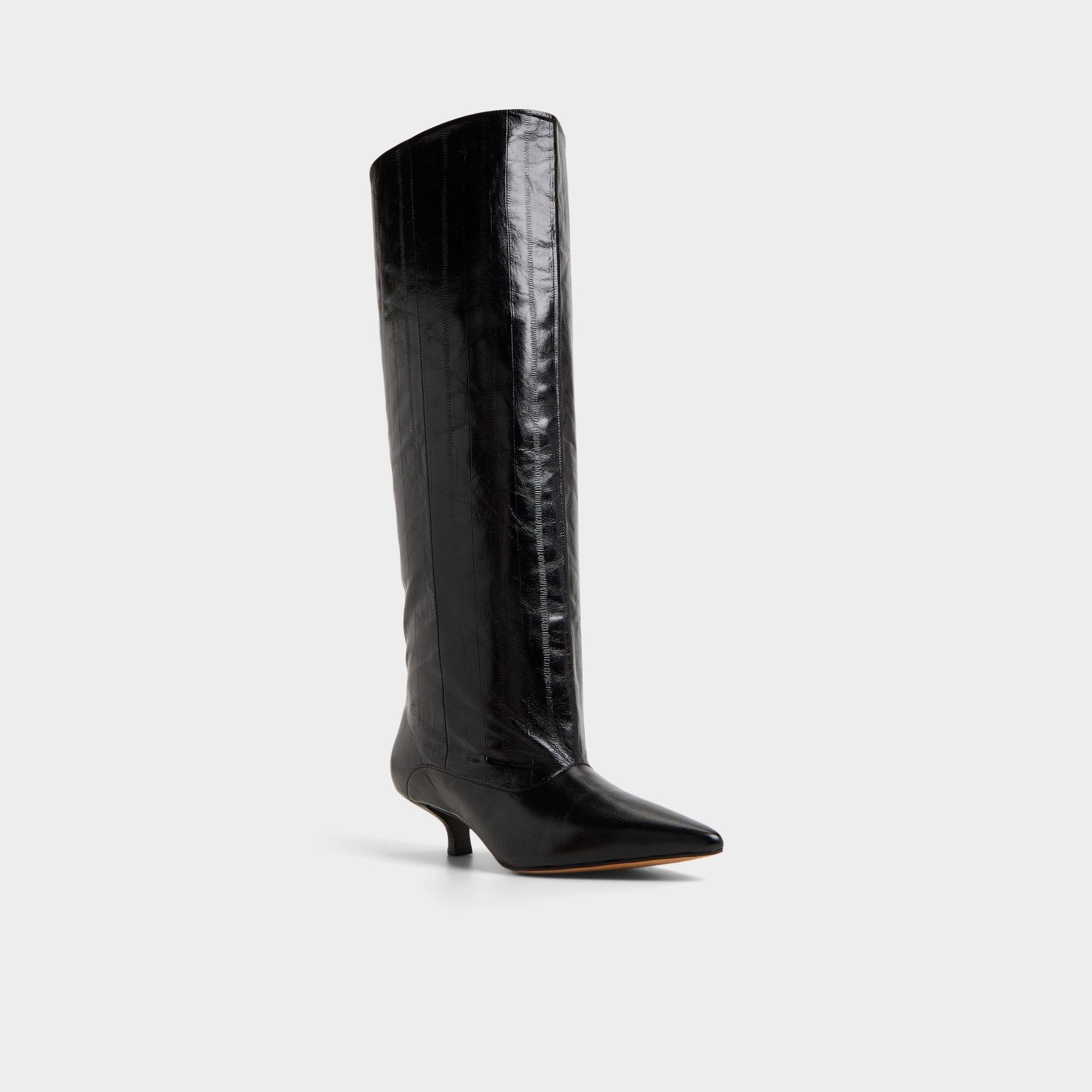 Aldo | Everose in Black - Knee-high boot, Kitten heel