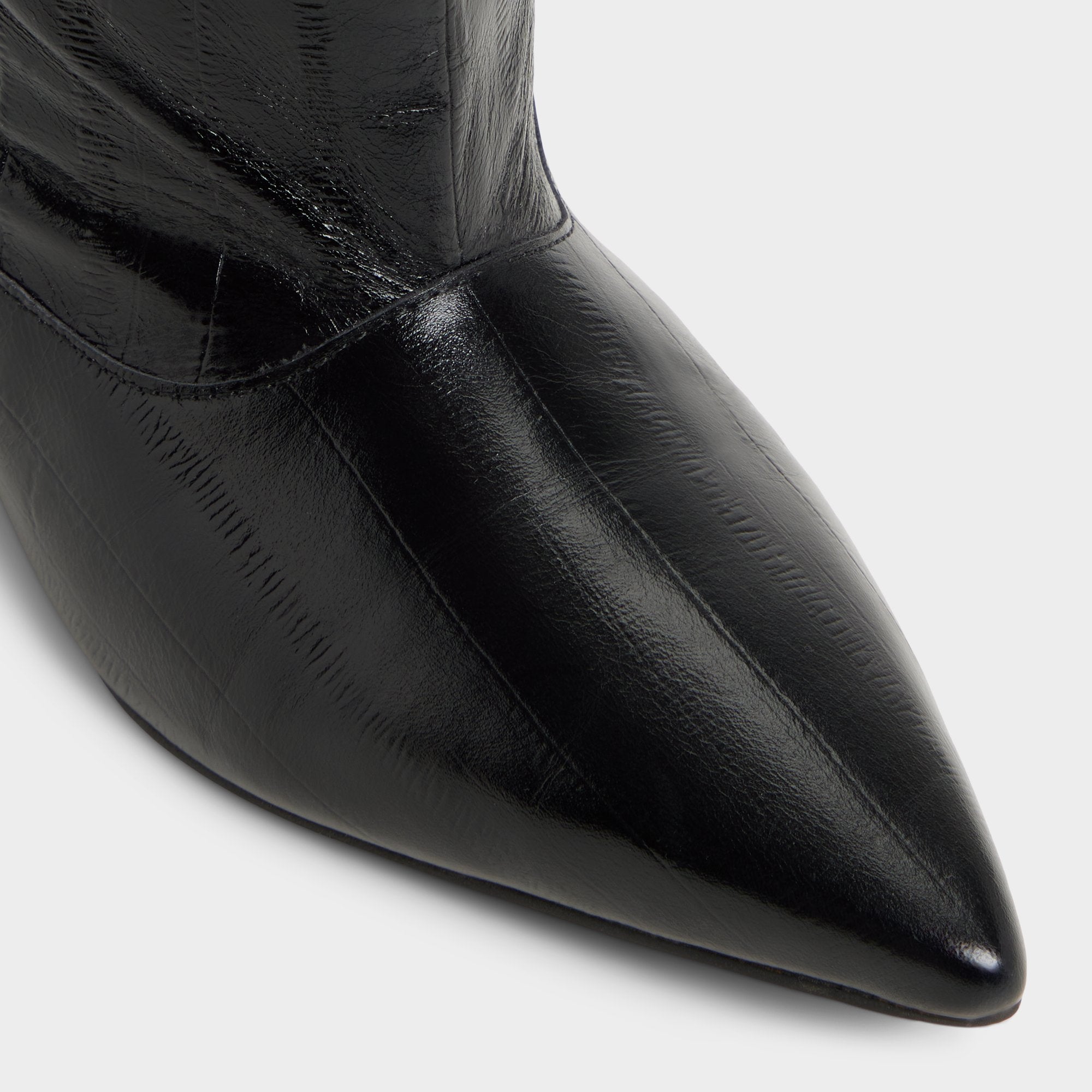 Aldo | Everose in Black - Knee-high boot, Kitten heel