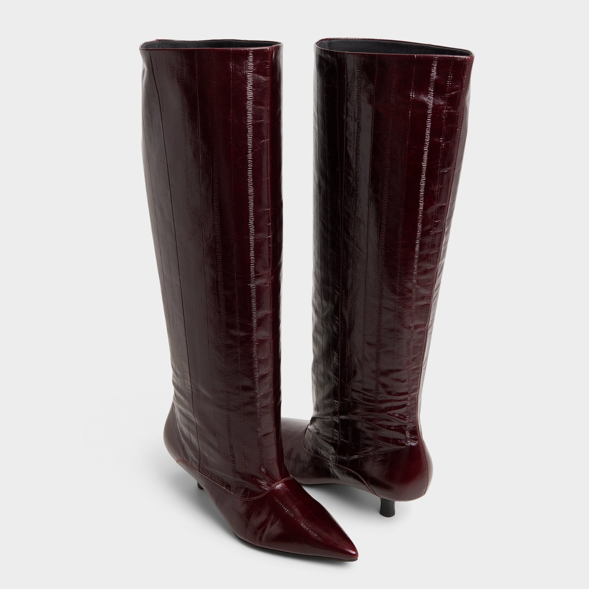 Aldo | Everose in Bordo - Knee-high boot, Kitten heel