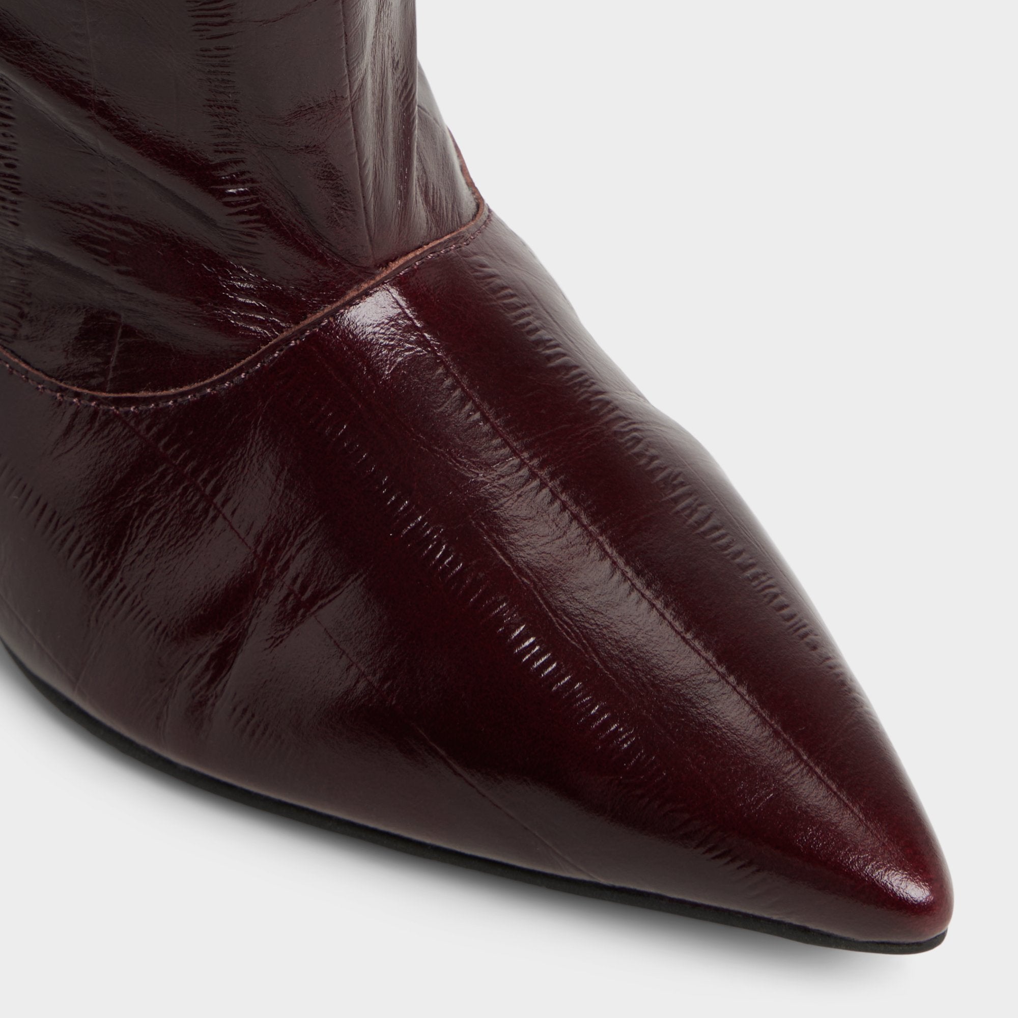 Aldo | Everose in Bordo - Knee-high boot, Kitten heel