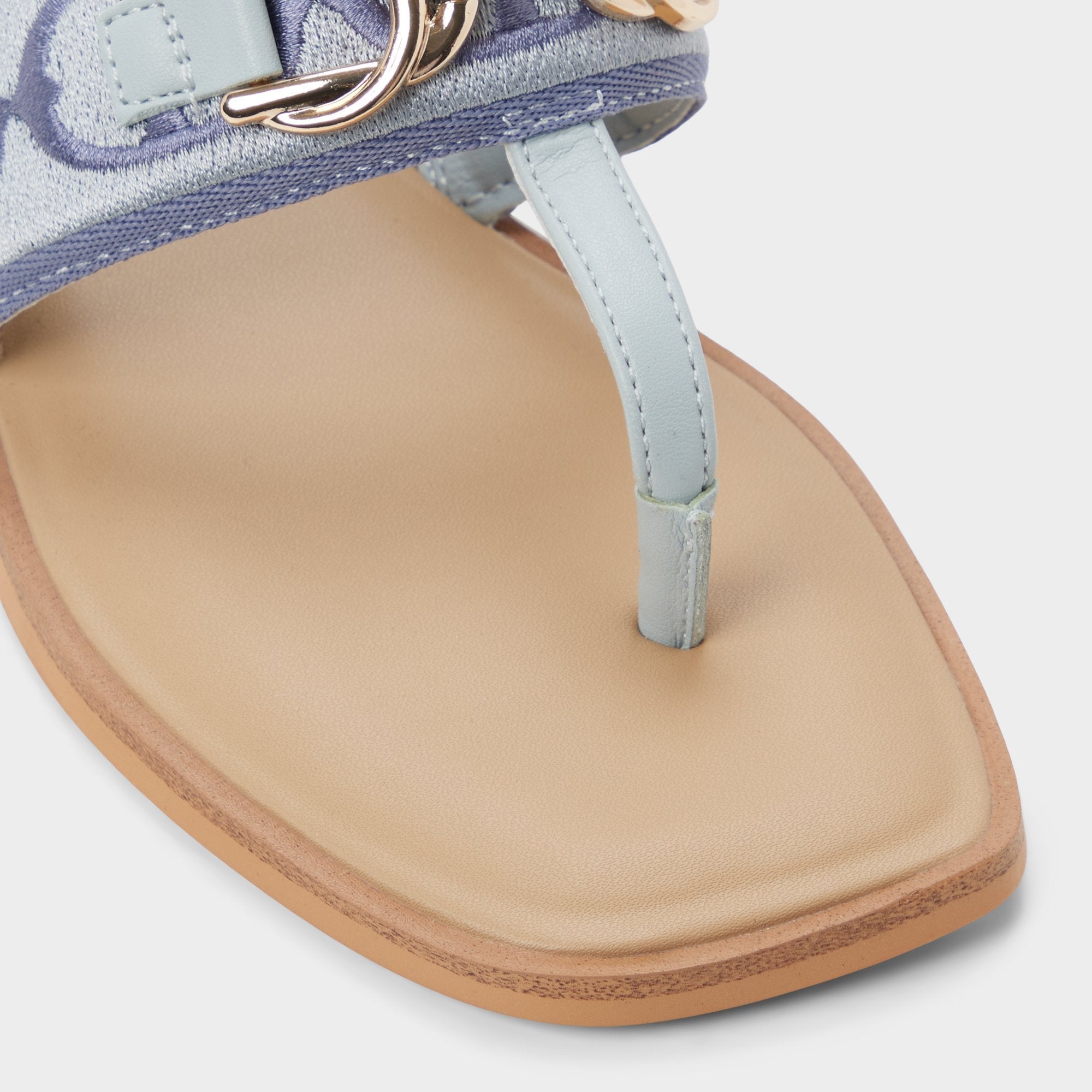 Aldo | Coralynna in Other Blue - T-strap sandal
