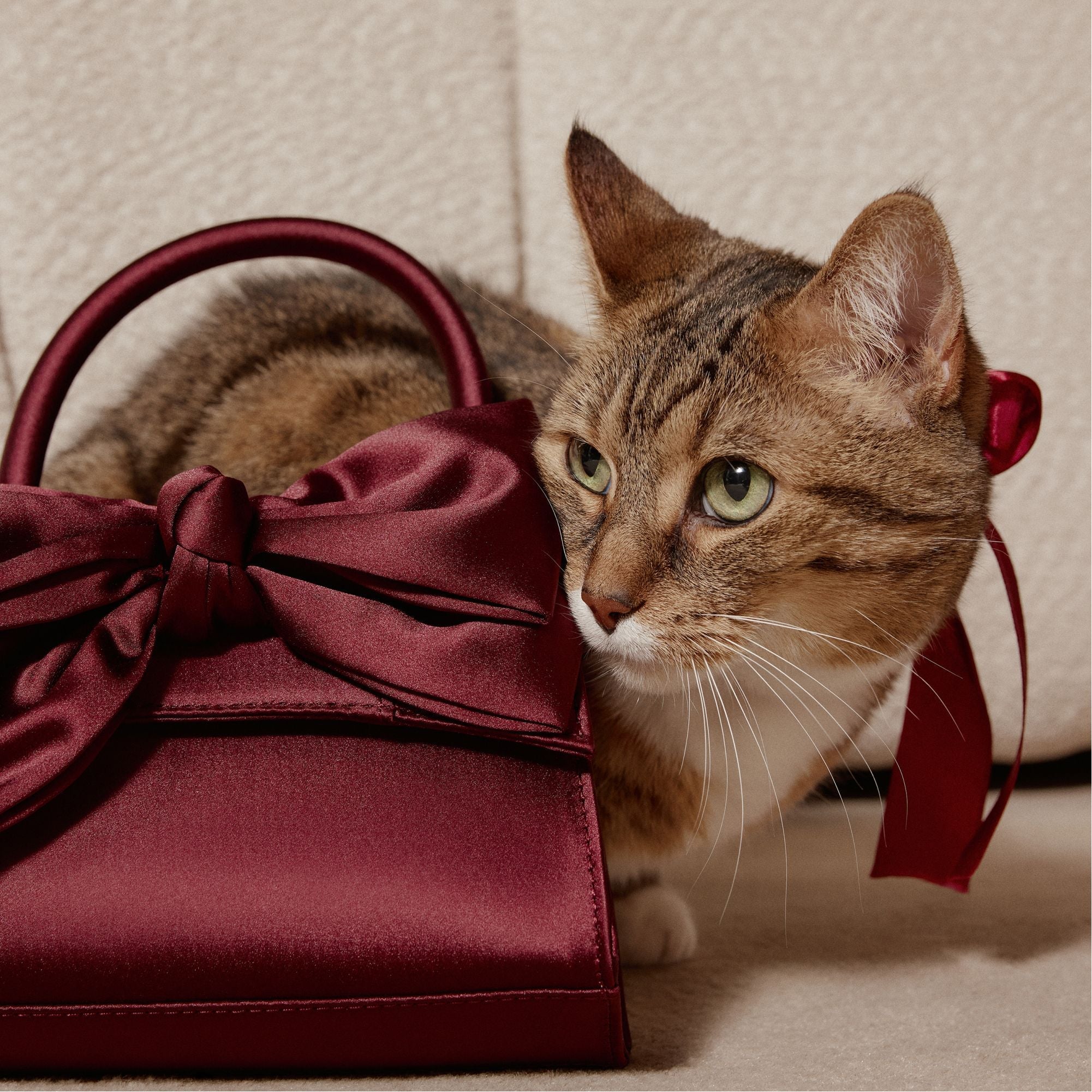 Aldo | Decadencee in Dark Red - Top handle bag