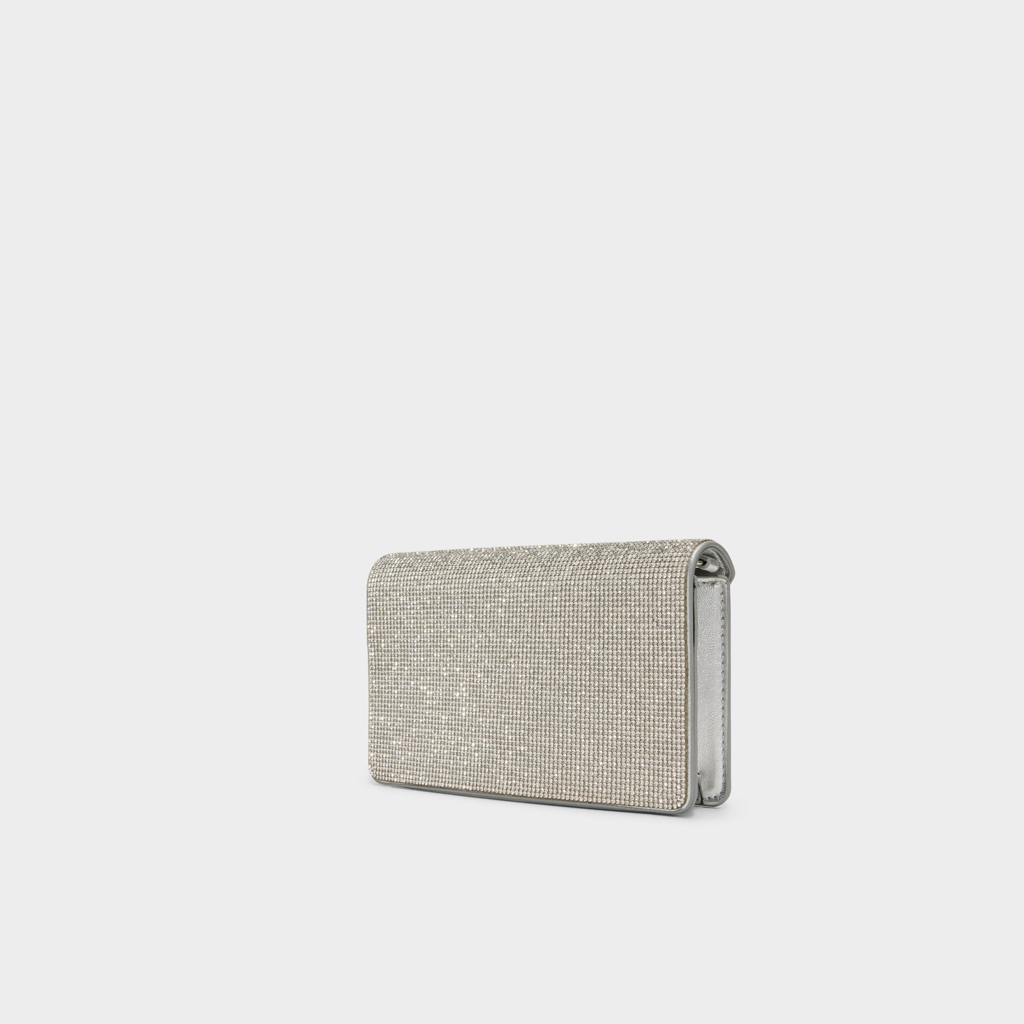 Aldo | Brimortonblngg in Silver - Wallet