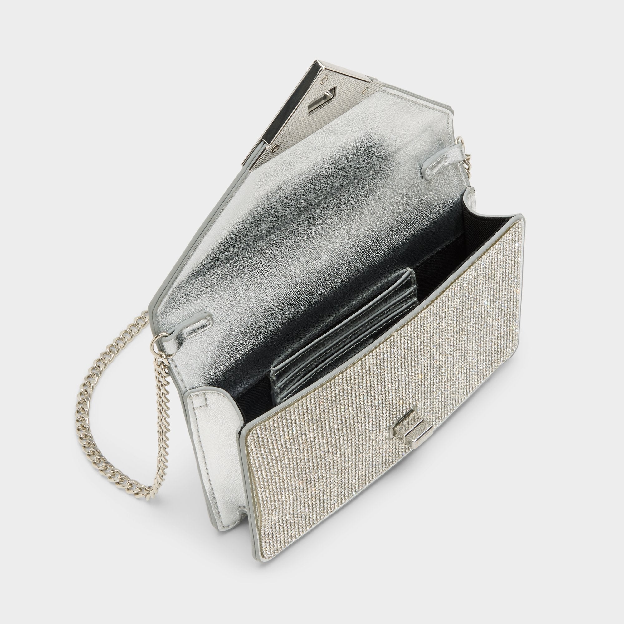 Aldo | Brimortonblngg in Silver - Wallet