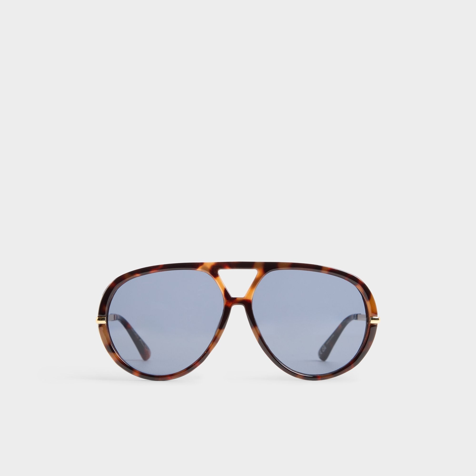 Aldo | Eliiana in Other Brown - Aviator sunglasses