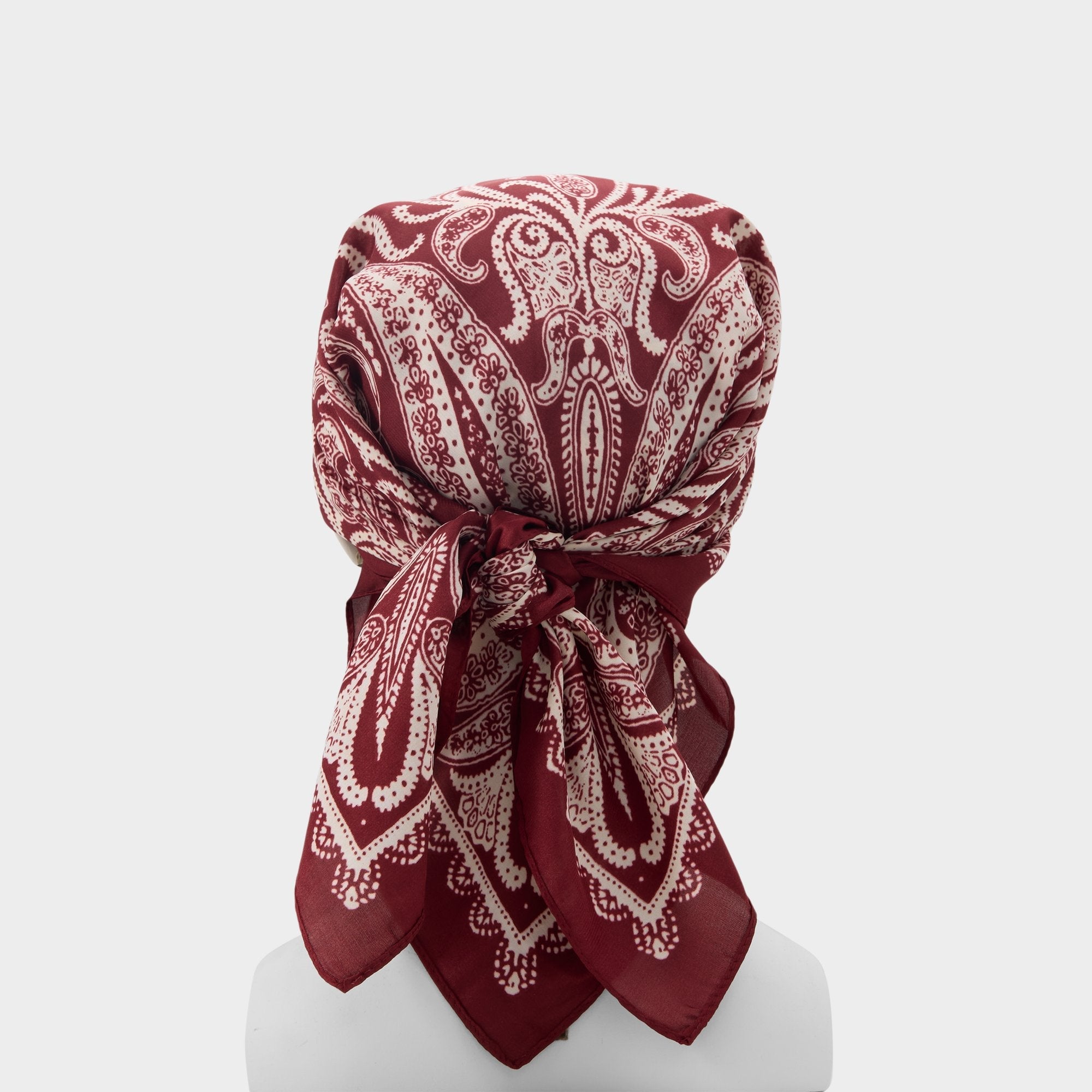 Aldo | Bernadete Bordo Women's Scarves - Scarf