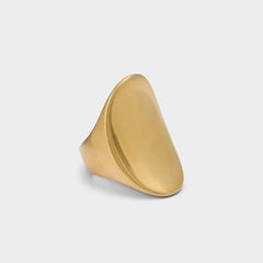 Aldo | Reigna in Gold - Ring