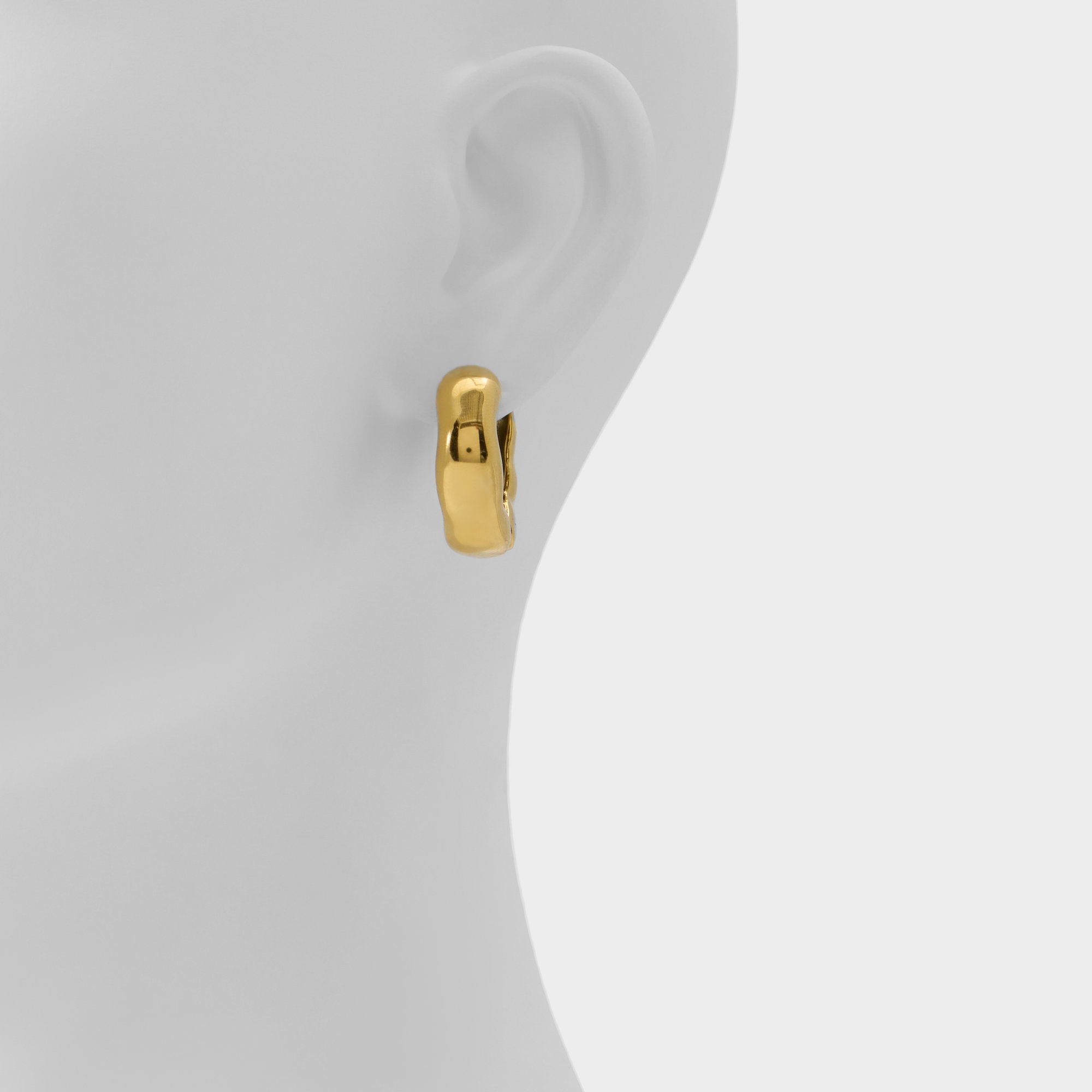Aldo | Carandar in Gold - Hoop earrings