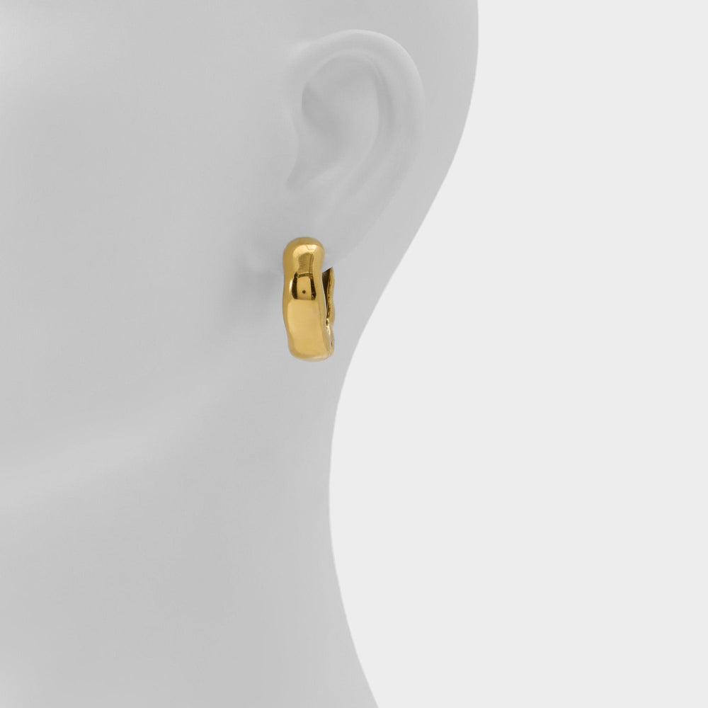 Aldo | Carandar in Gold - Hoop earrings