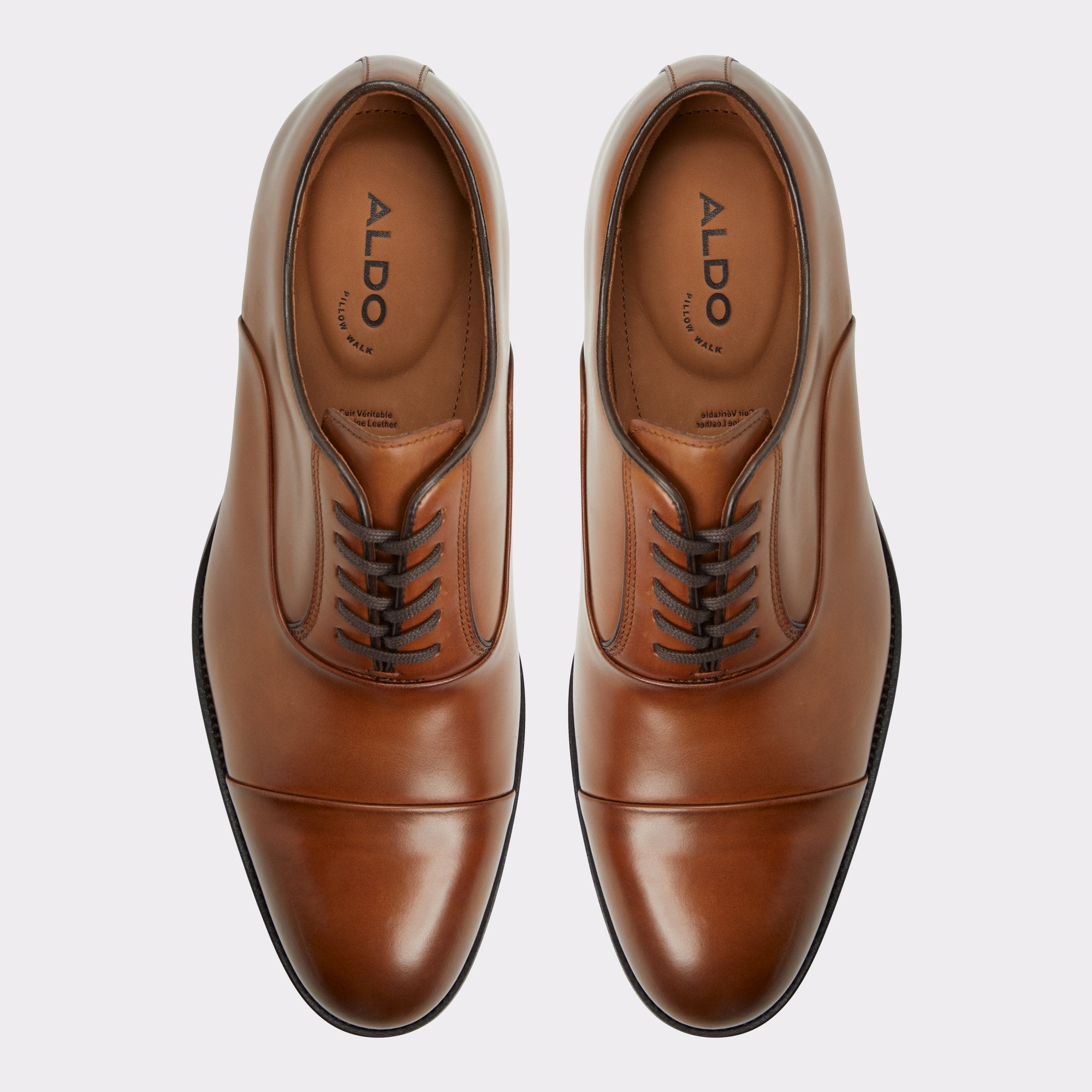 Aldo | Lazio in Cognac - Oxford shoe