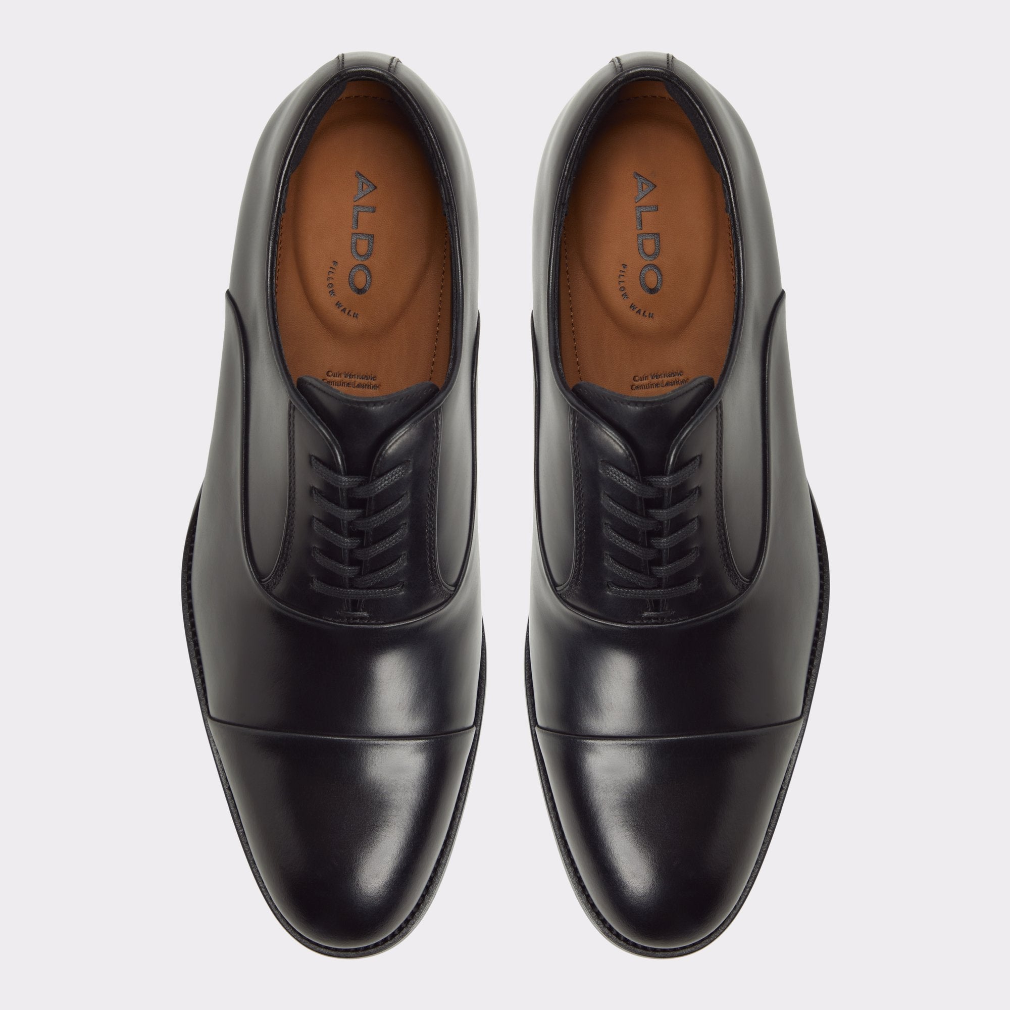 Aldo | Lazio in Black - Oxford shoe