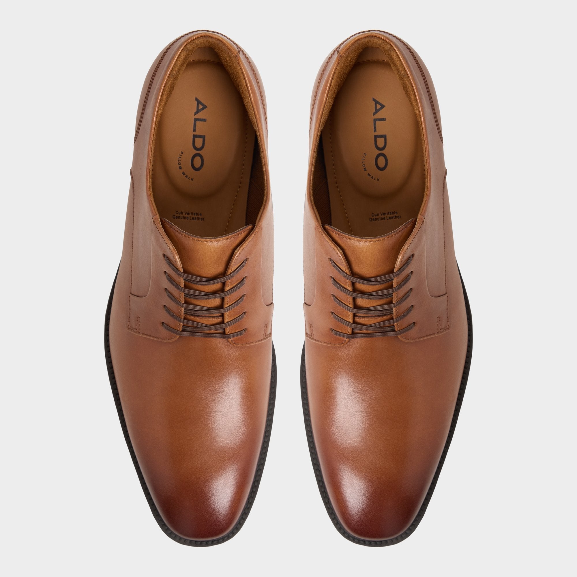 Aldo | Teodoro in Cognac - Derby shoe