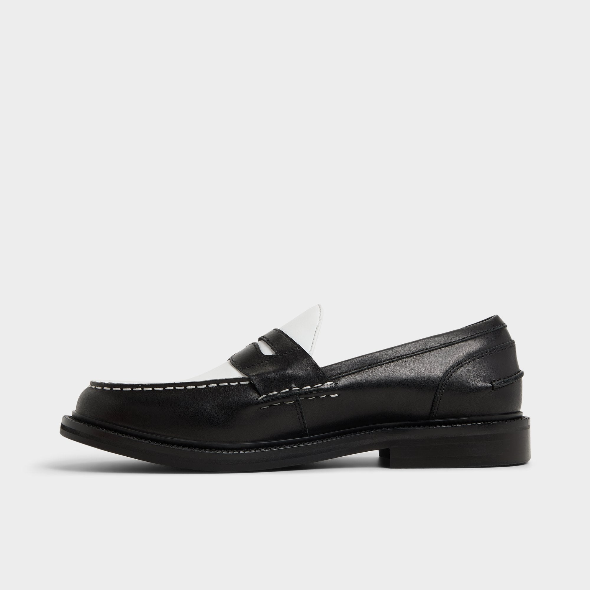 Aldo | Buckley in Other Black 14048385 - Loafer