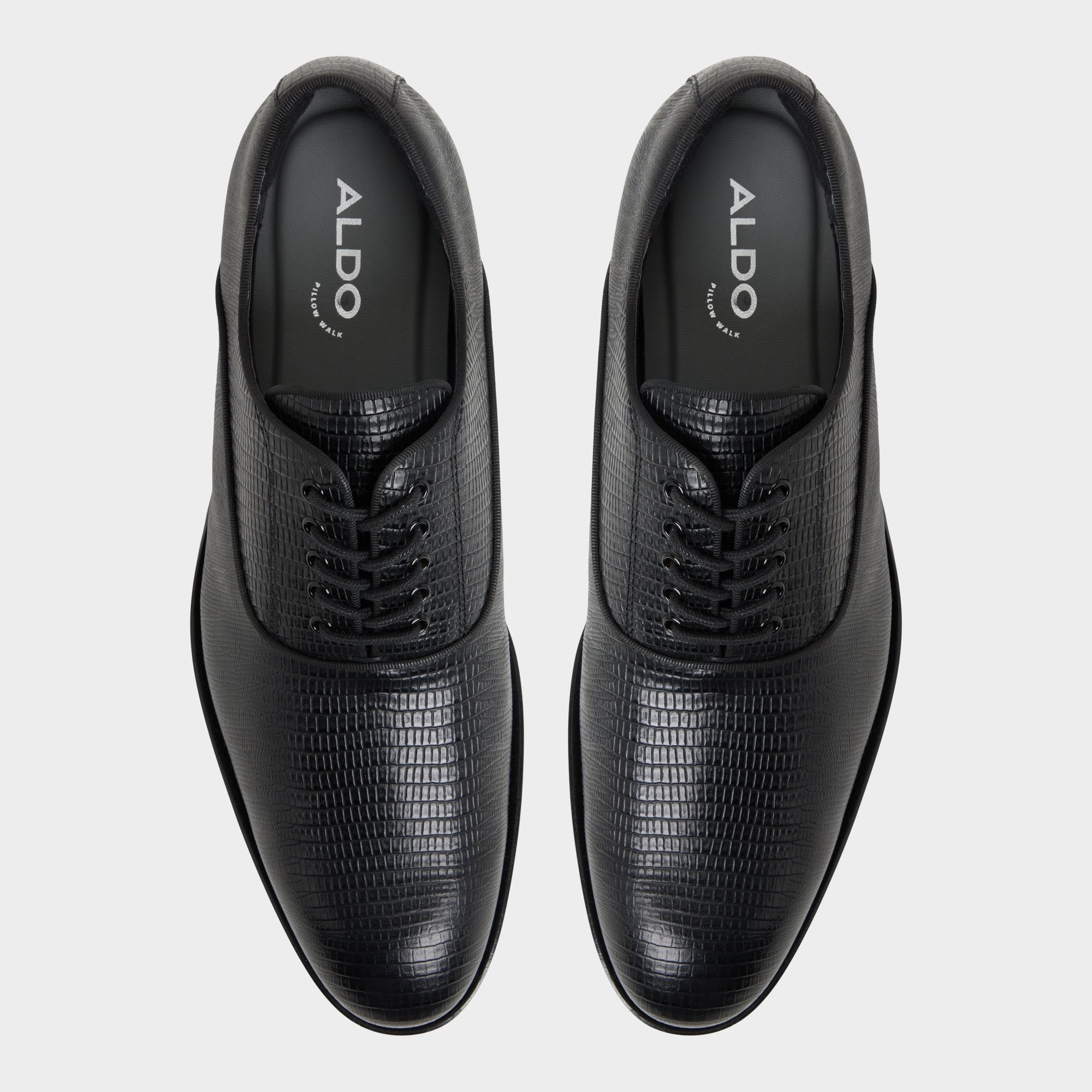 Aldo | Braz in Other Black 14161936 - Oxford shoe