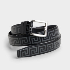 Aldo | Wawen in Black Silver Multi - Belt